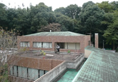 リンドスの勾配屋根用景観型塩ビシート防水_施工前